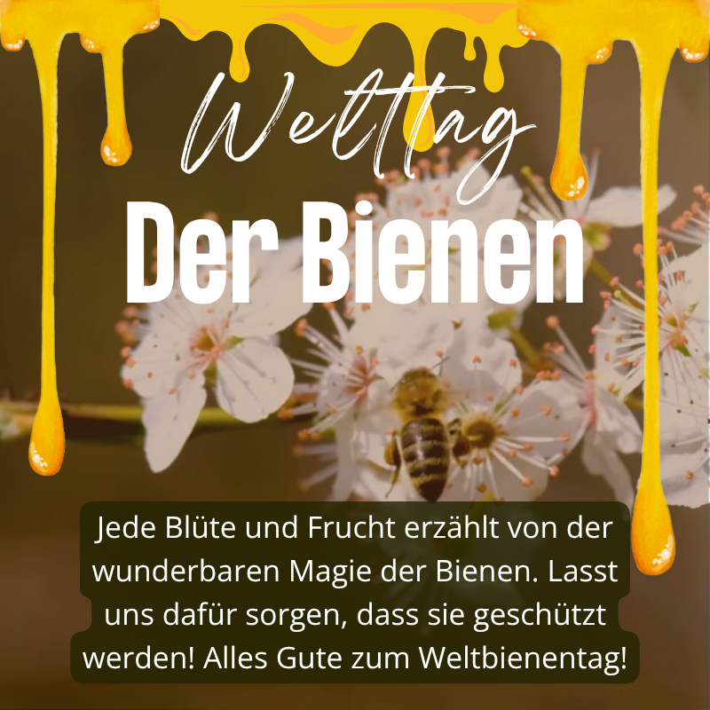20250520 LUKA Welttag der Bienen UG 800 x 800 px