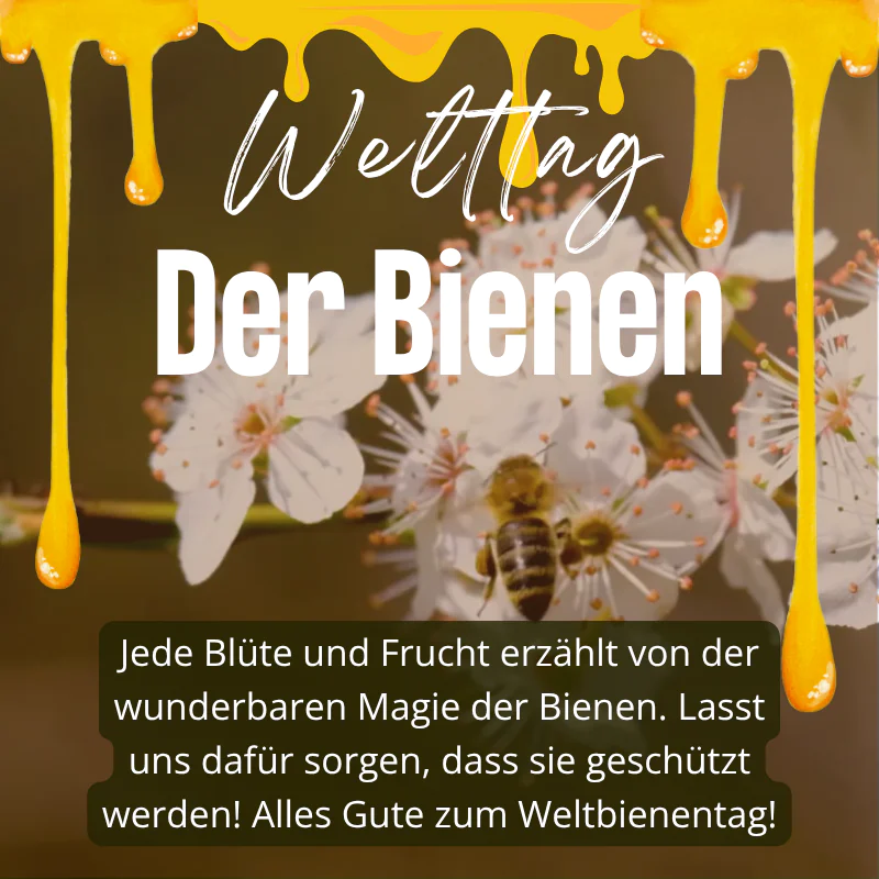 20250520 LUKA Welttag der Bienen UG 800 x 800 px